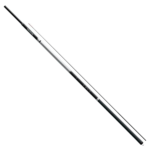 ダイワ(DAIWA) 全能振りだし竿 波路 超硬70 釣り竿 スポーツ・アウトドア-その他