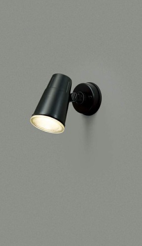 東芝(TOSHIBA) LEDアウトドアスポットライト (LEDランプ別売り) LEDS88900(K)