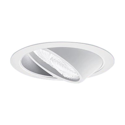 パナソニック(Panasonic) 上昇限度埋込型 LED 昼白いこと ウォールウォッシャダウンライト 浅型10H 埋込穴φ100 TOLSO トルソー NTS71240S