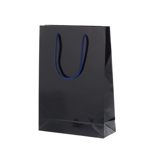ケース販売HEIKO 紙袋 ブライトバッグ SWT 紫紺 006138223 1ケース(10枚入×30袋 合計300枚)