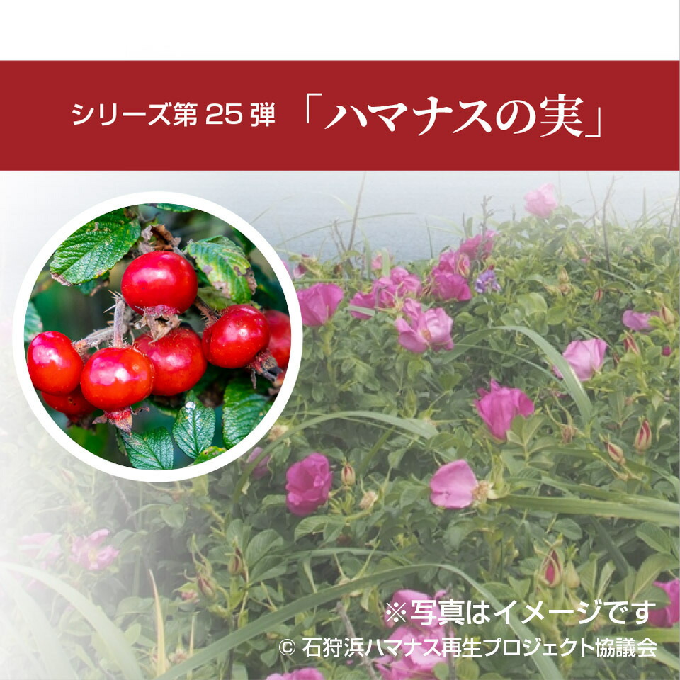 大丸藤井セントラル オリジナル 万年筆 中字 筆記具 北の彩景事典25弾ペンケース付パイロット カスタム 限定 M Pilot ヘリテイジ ハマナスの実 スケルトン万年筆 プレゼント 細字 ギフト 中細 Fm 極細 B F Ef 太字 大丸藤井セントラル オリジナル 万年筆 中字 筆記具 北の彩景事典25弾ペンケース付パイロット カスタム 限定 M Pilot ヘリテイジ ハマナスの実 スケルトン万年筆 プレゼント 細字 ギフト 中細 Fm 極細 B F Ef 太字