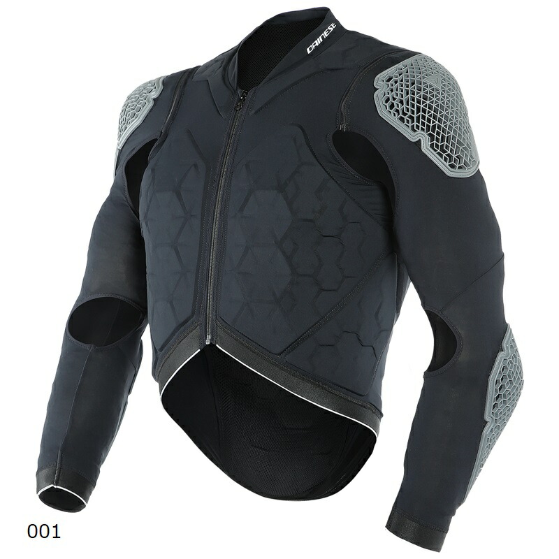 DAINESE(ダイネーゼ)公式 RHYOLITE 2 WINTER 安心の修理保証付き