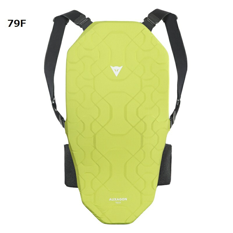 DAINESE（ダイネーゼ）公式 AUXAGON BACK スノーボード用 スキー 安心 ...