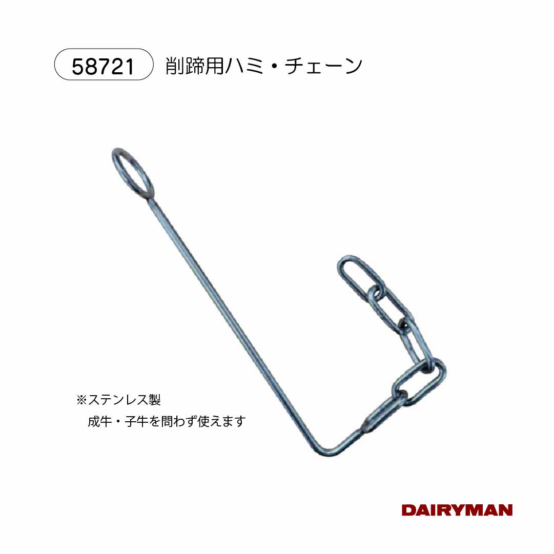 酪農用 削蹄中【 削蹄用ハミ チェーン 】ステンレス製 くつわ ガム 牛用ガム はみ 削蹄中 搾乳中 牛の気をそらすために チェーンなので口の中を傷つけにくい 成牛仔牛問わず使えます