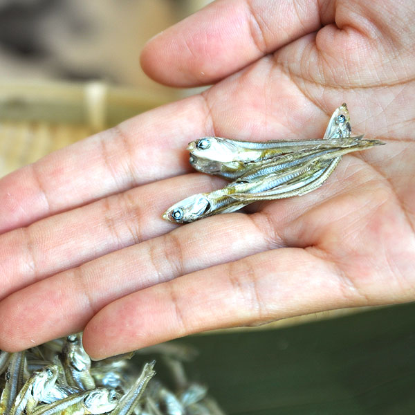 初回限定 塩無添加かえり 健康煮干し 瀬戸内産 180g qdtek.vn