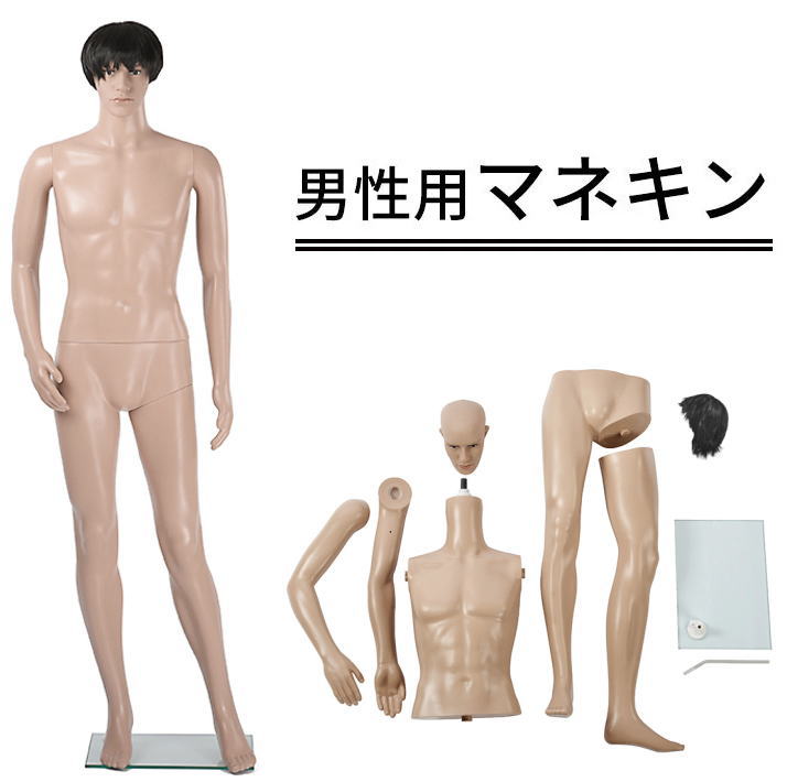 男性用マネキン 組み立て 186cm