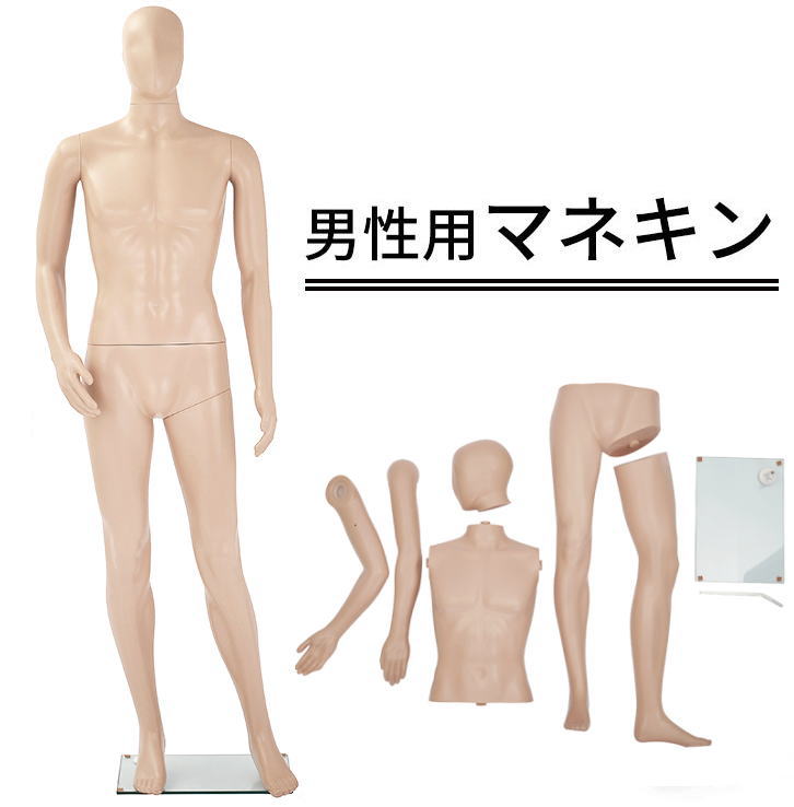 マネキン　大小　専用です。 楽天市場】男性用マネキンGM-1Sマネキン トルソー メンズ 全身