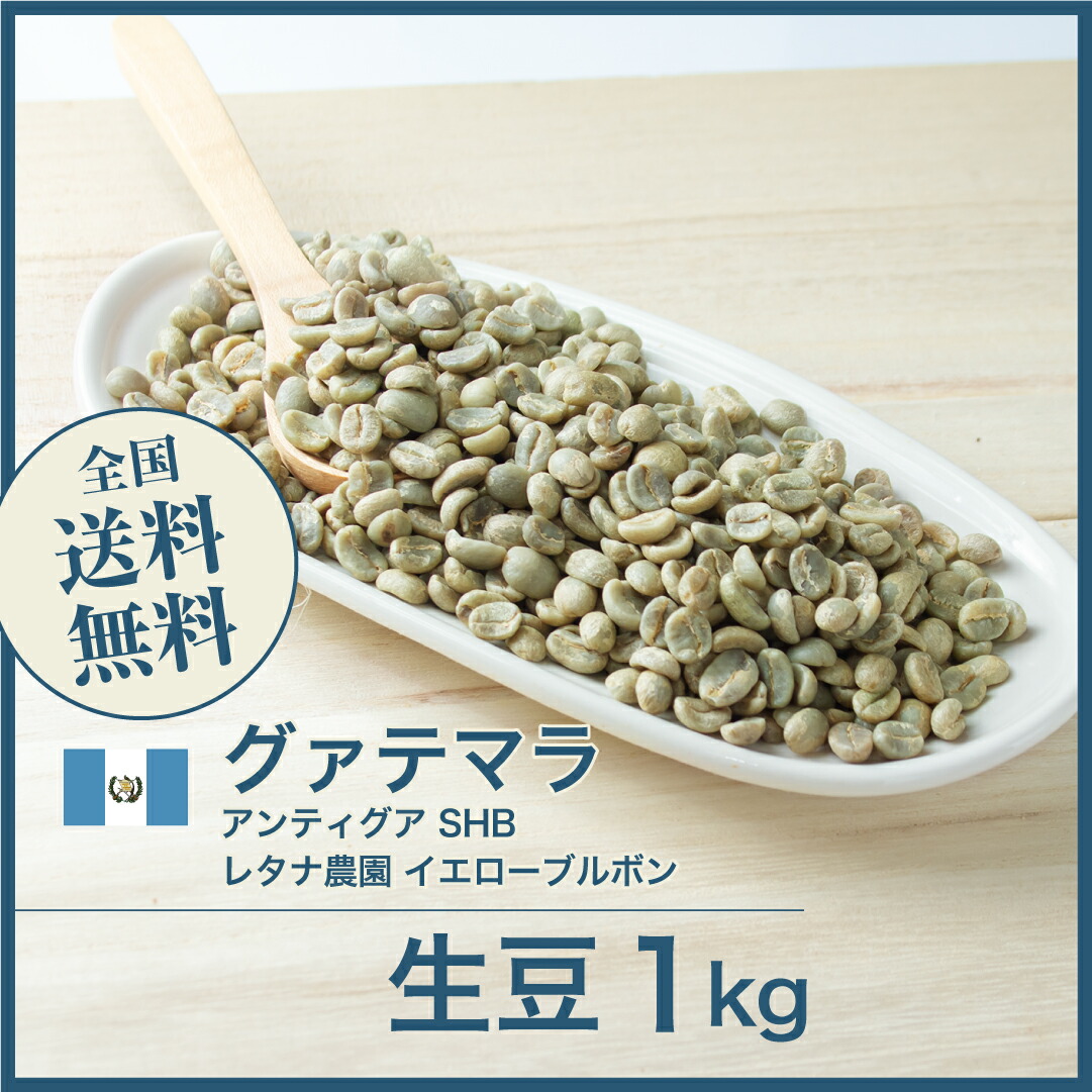 ベトナム ファインロブスタ　5kg コーヒー生豆 コーヒー生豆】ベトナムロブスタ-Future Coffee Farm ワイニーハニー