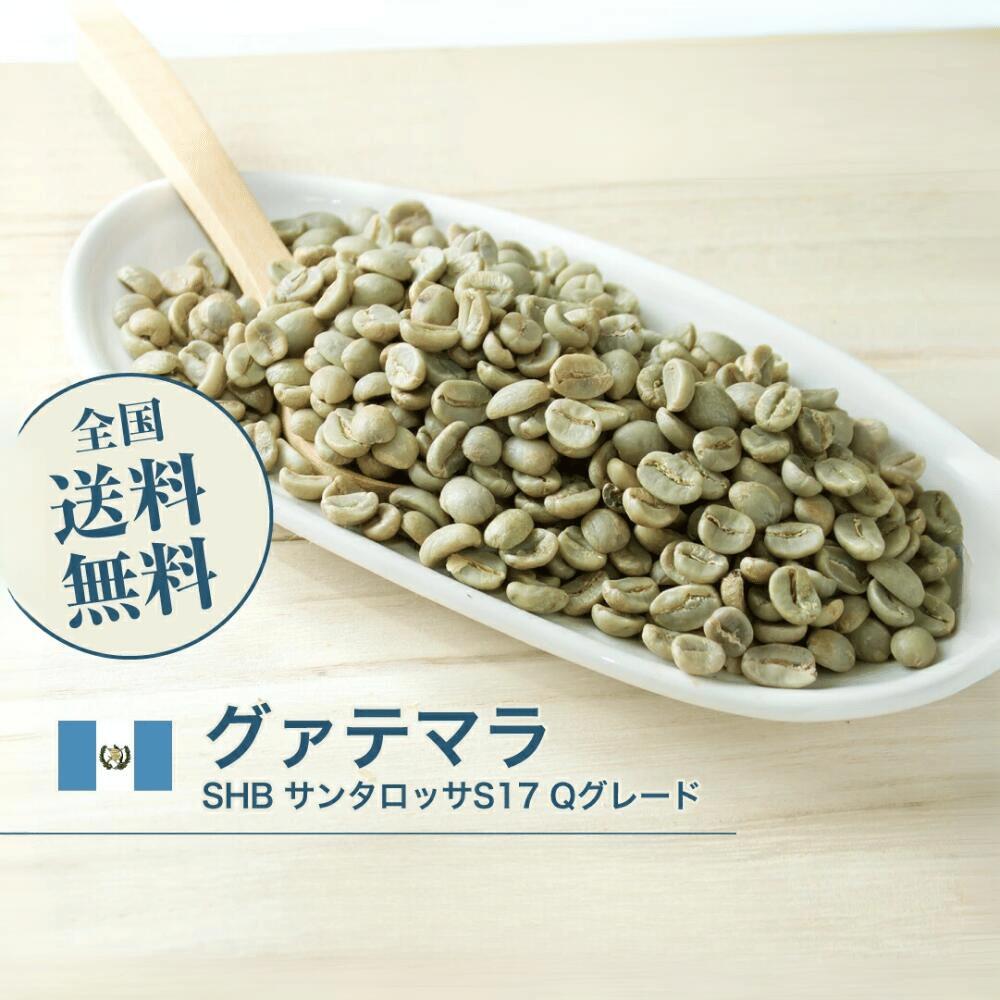 【カフェインレス】 コーヒー生豆 メキシコSHGチアパス5kg sakai250.jpg