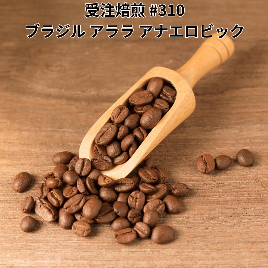 楽天市場】コロンビア エルパライソ農園「ライチ」 ダブル