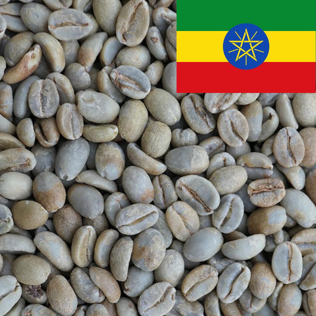 楽天市場】DRIP TRIP コーヒー 生豆 有機栽培 モカ グジ シャキッソ G4