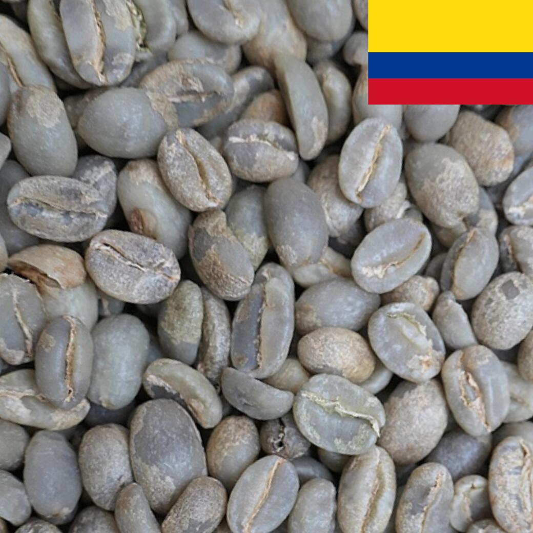DRIP TRIP コーヒー 生豆 コロンビア ファロ サン・ベルナルド サンベルナルド種(パチェ種) 送料無料1kg 2kg 5kg