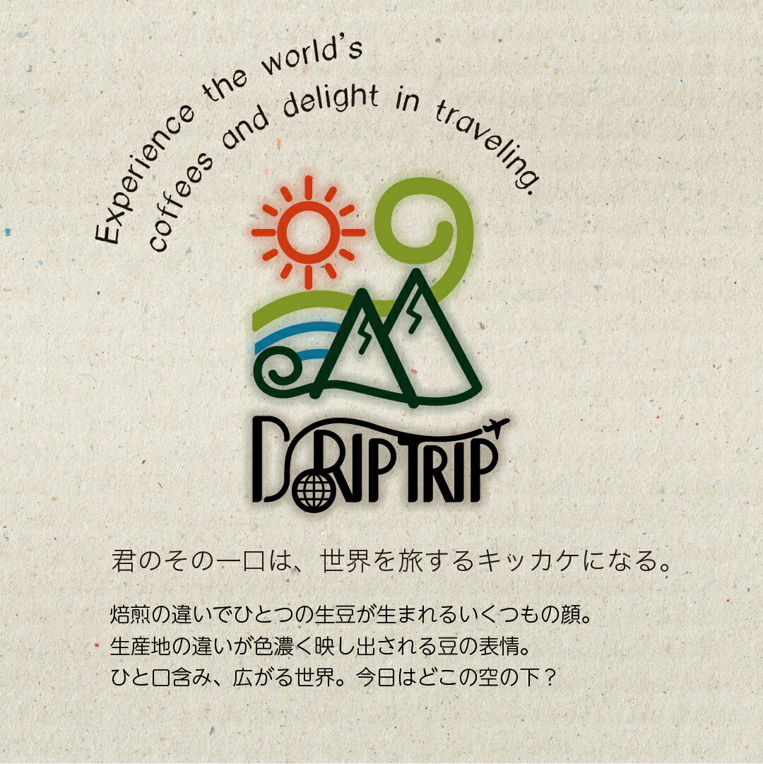 DRIP TRIP コーヒー 生豆 タンザニア AB 送料無料1kg 2kg 5kg #436 8,712円