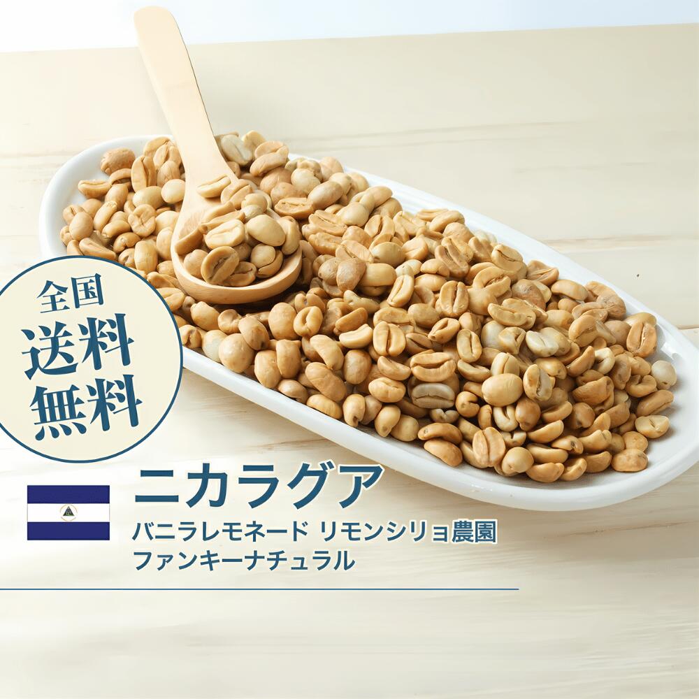 楽天市場】生豆 ブルーマウンテンNo1 ブルーバロン コーヒー