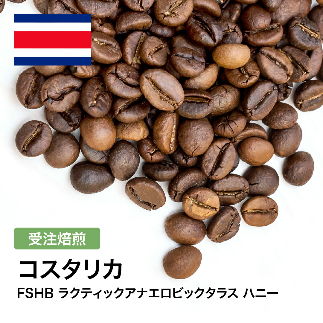 楽天市場】コーヒー 生豆 コスタリカ FSHB ラクティックアナエロ