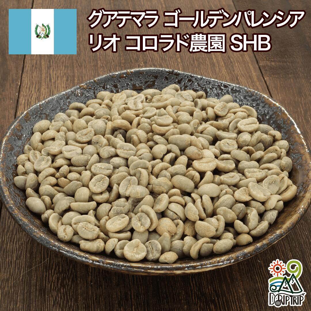 DRIP TRIP コーヒー 生豆 グアテマラ ゴールデンパレンシア リオ コロラド農園SHB 珈琲 スペシャルティ 送料無料1kg 2kg 5kg 10kg