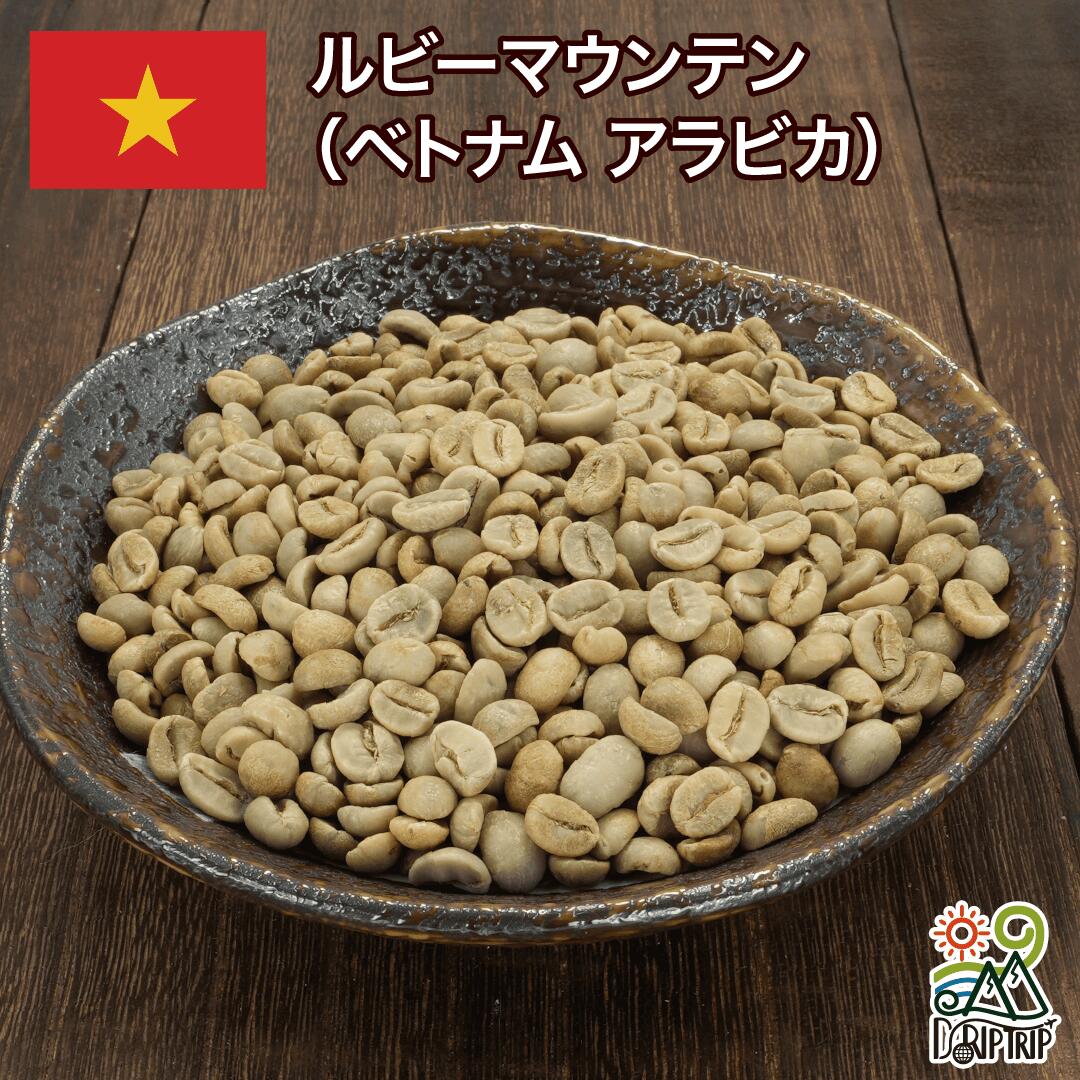 コーヒー生豆 ルビーマウンテン ベトナム アラビカ 1kg 2kg 5kg 10kg 未焙煎 自家焙煎用 珈琲 生豆 DRIP TRIP 送料無料 #101