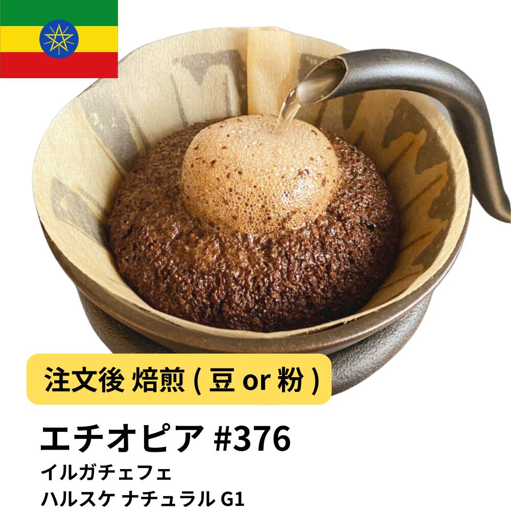 楽天市場】【DRIP TRIP】モカ グジ G4 プラス ナチュラル コーヒー豆