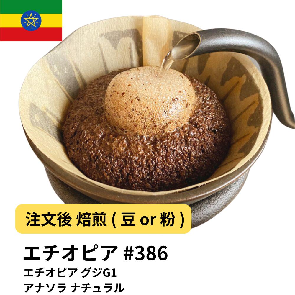 楽天市場】コーヒー豆 エチオピア イルガチェフェ ハルスケ ナチュラル