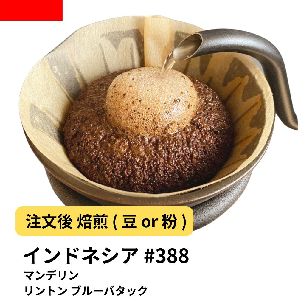 ブラジル カルモデミナス ナチュラル 24/25クロップ 9㎏ コーヒー生豆 デカフェ】ブラジル カルモデミナス ナチュラル No.2 生豆 | 海
