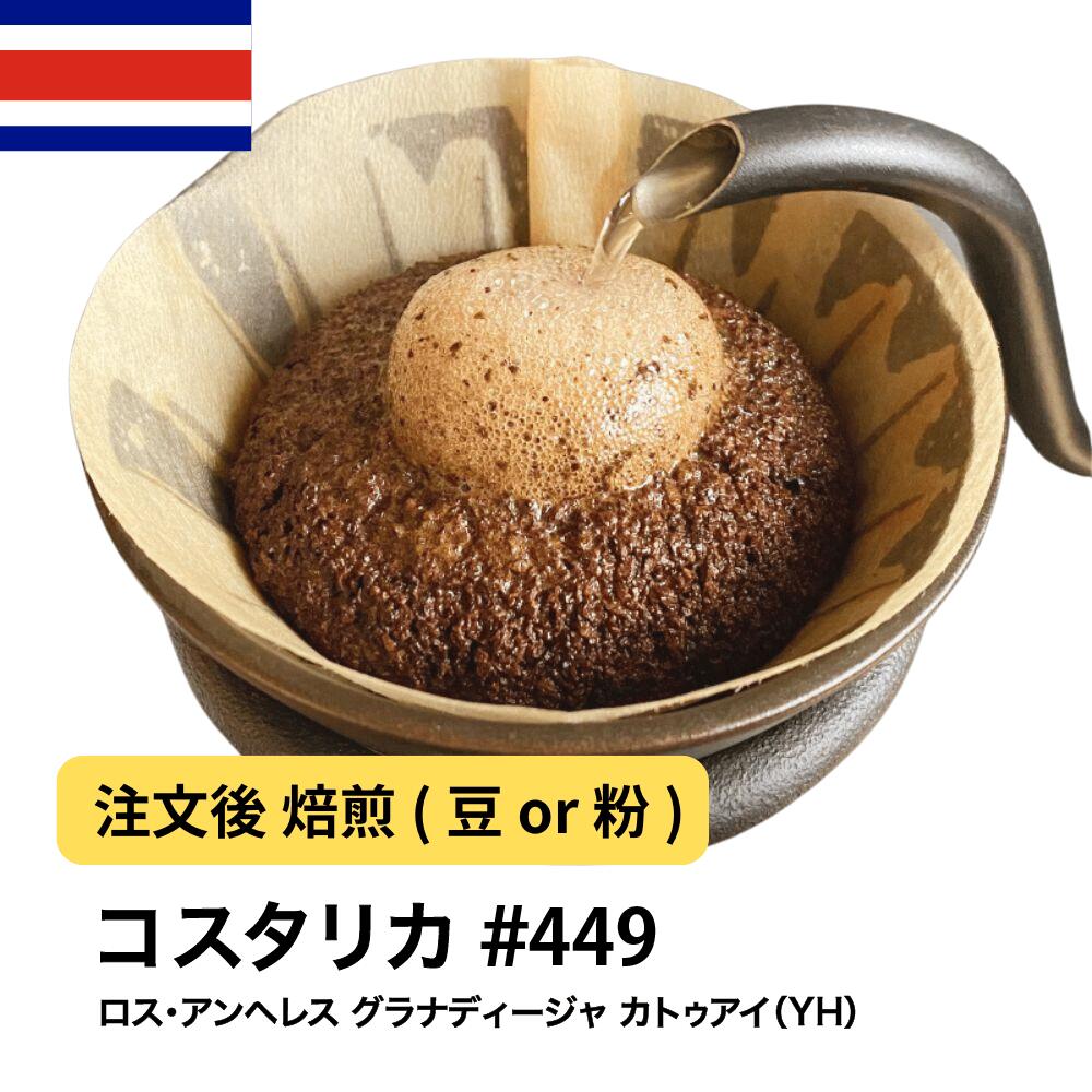 コーヒー豆 コスタリカ ロス・アンヘレス グラナディージャ カトゥアイ（YH） バランス DripTrip 送料無料 自家焙煎 受注焙煎 焙煎度が選べる 珈琲豆 豆 粉 大容量 業務用 生豆 ドリップバッグコーヒー ドリップコーヒー 水出しコーヒー #449
