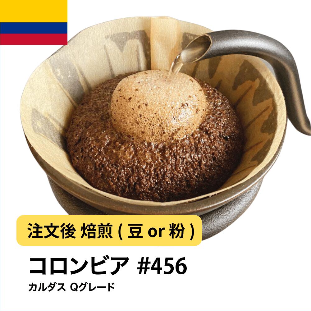 コーヒー豆 コロンビア カルダス Qグレード バランス 甘み シングルオリジン スペシャルティ DripTrip 送料無料 自家焙煎 受注焙煎 焙煎度が選べる 珈琲豆 豆 粉 大容量 業務用 生豆 ドリップバッグコーヒー ドリップコーヒー 水出しコーヒー#456|コーヒー&パン専門店DripTrip