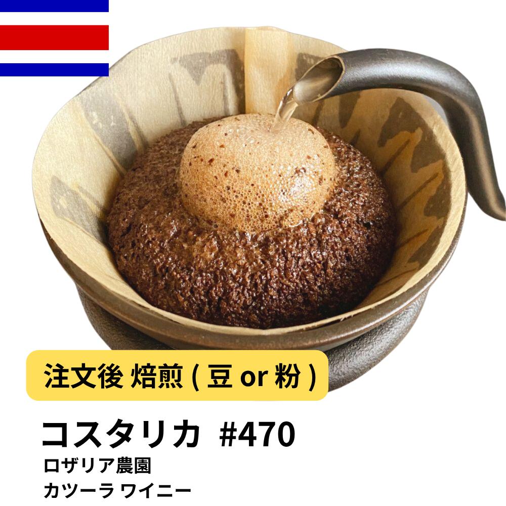 DRIP TRIP コーヒー豆 コスタリカ ロザリア農園 カツーラ ワイニー 受注焙煎 選べる焙煎度合い 珈琲 送料無料 400g 800g 1kg 1.5kg #470
