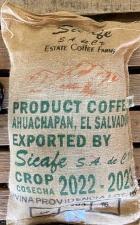 DRIP TRIP コーヒー 生豆 エルサルバドル ディビナ・プロヴィデンシア農園 パカマラ ウォッシュド 送料無料1kg 2kg 5kg #472