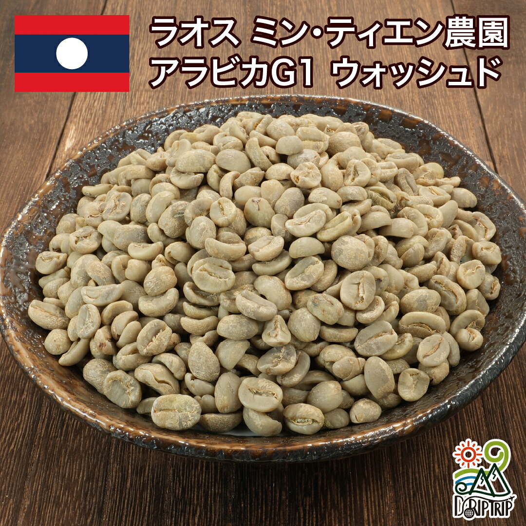 【ポイント10倍★要エントリー】コーヒー 生豆 ラオス ミン・ティエン農園 アラビカG1 ウォッシュド 送料無料1kg 2kg 5kg #480 DRIP TRIP|コーヒー&パン専門店DripTrip