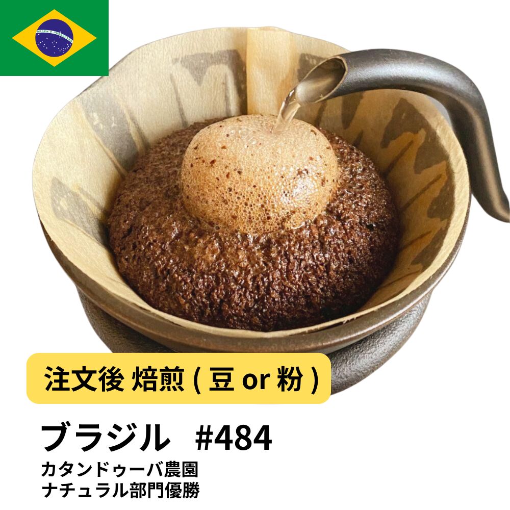 【ポイント10倍★要エントリー】ブラジル コーヒー豆 カタンドゥーバ農園 ナチュラル部門優勝 大容量 業務用 生豆 ドリップバッグコーヒー ドリップコーヒー 水出しコーヒー #484｜コーヒー＆パン専門店DripTrip 28,926円
