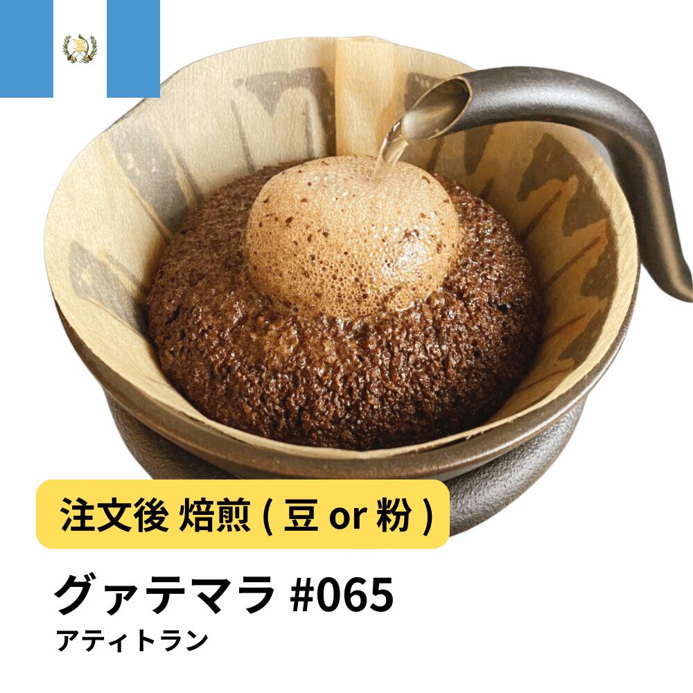 コーヒー豆 グァテマラ アティトラン Qグレード バランス シングルオリジン 朝用 スペシャルティ DripTrip 送料無料 自家焙煎 受注焙煎 焙煎度が選べる 珈琲豆 豆 粉 4大容量 業務用 生豆 ドリップバッグコーヒー ドリップコーヒー 水出しコーヒー #65