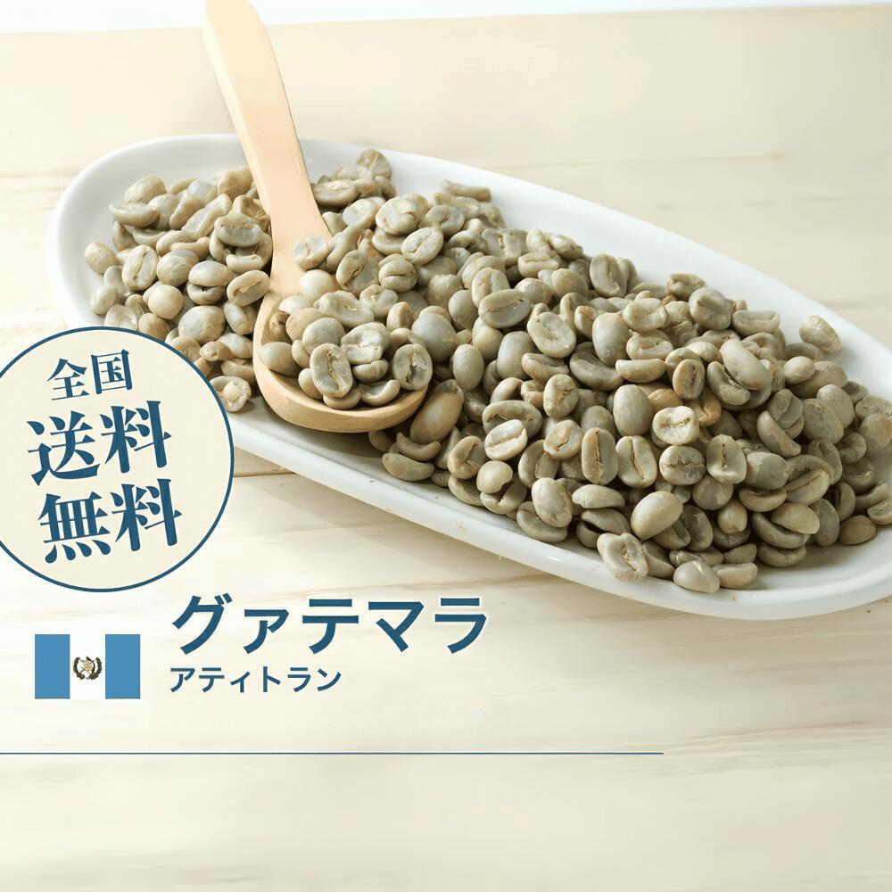【東ティモール】エルメラ　 コーヒー生豆 ５kg コーヒー生豆 | 東ティモール・エルメラ産 - オーガニック