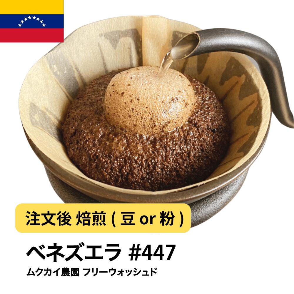 コーヒー豆 ベネズエラ ムクカイ農園 フリーウォッシュド バランス DripTrip 送料無料 自家焙煎 受注焙煎 焙煎度が選べる 珈琲豆 豆 粉 大容量 業務用 生豆 ドリップバッグコーヒー ドリップコーヒー 水出しコーヒー #447