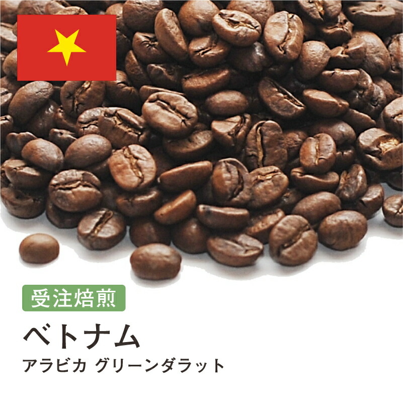 コーヒー豆 ベトナム アラビカ グリーンダラット バランス DripTrip 送料無料 自家焙煎 受注焙煎 焙煎度が選べる 珈琲豆 豆 粉 大容量 業務用 生豆 ドリップバッグコーヒー ドリップコーヒー 水出しコーヒー #172