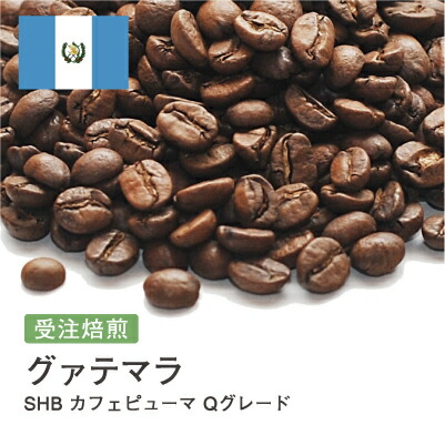 コーヒー豆 グァテマラ SHB カフェピューマ Qグレード バランス シングルオリジン スペシャルティ DripTrip 送料無料 自家焙煎 受注焙煎 焙煎度が選べる 珈琲豆 豆 粉 大容量 業務用 生豆 ドリップバッグコーヒー ドリップコーヒー 水出しコーヒー #49