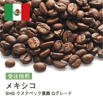 コーヒー豆 メキシコ SHG クステペック農園 Qグレード バランス シングルオリジン スペシャルティ DripTrip 送料無料 自家焙煎 受注焙煎 焙煎度が選べる 珈琲豆 豆 粉 大容量 業務用 生豆 ドリップバッグコーヒー ドリップコーヒー 水出しコーヒー #31