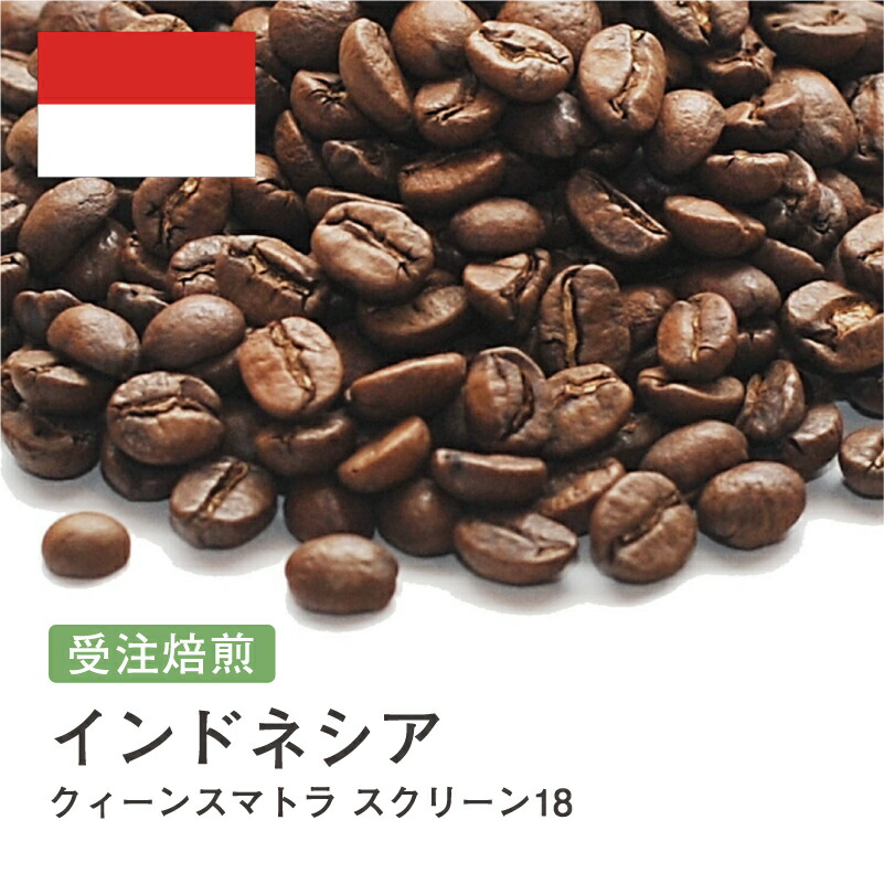 楽天市場】コーヒー豆 ブラジル ブルボン（BRAZIL BOURBON) Qグレード 受注焙煎 選べる焙煎度合い 送料無料 大山珈琲 珈琲 珈琲豆  コーヒー コーヒー豆 スペシャルティコーヒー 粉 400g 800g 1kg 2kg【DRIP TRIP】 コーヒー粉 : コーヒー ＆石窯パン専門店ガウディ