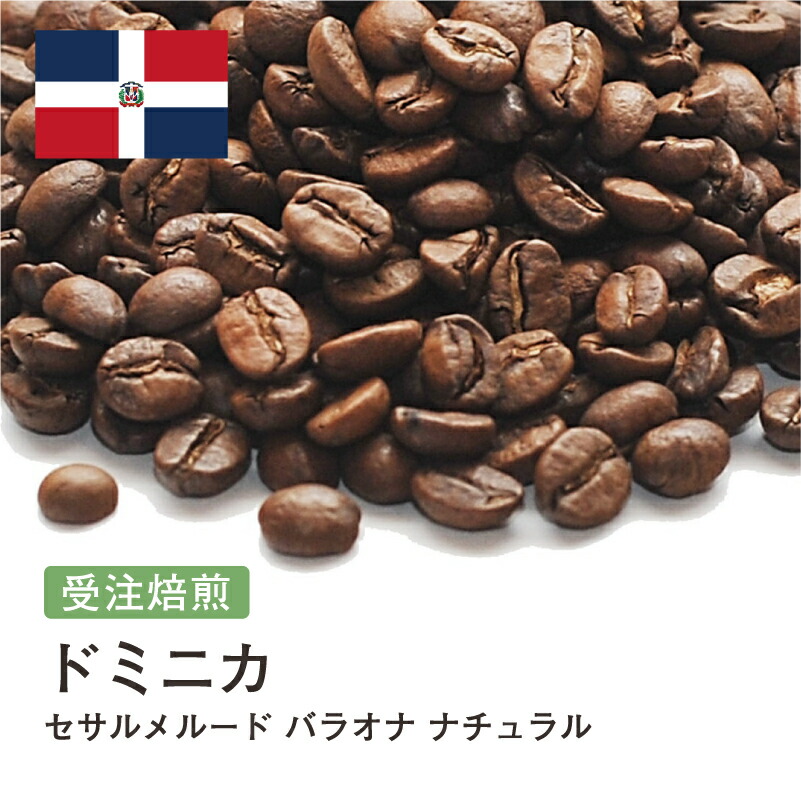 インドネシア産コーヒー詰合せ ドリップバッグコーヒー マンデリン G-1（インドネシア産）10g