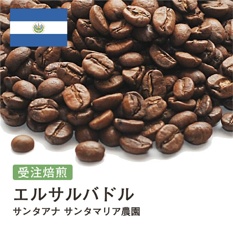 【4本セット！】Grand Cru Café 最高級エルサルバドル コーヒー豆 エルサルバドル 飲み比べセット