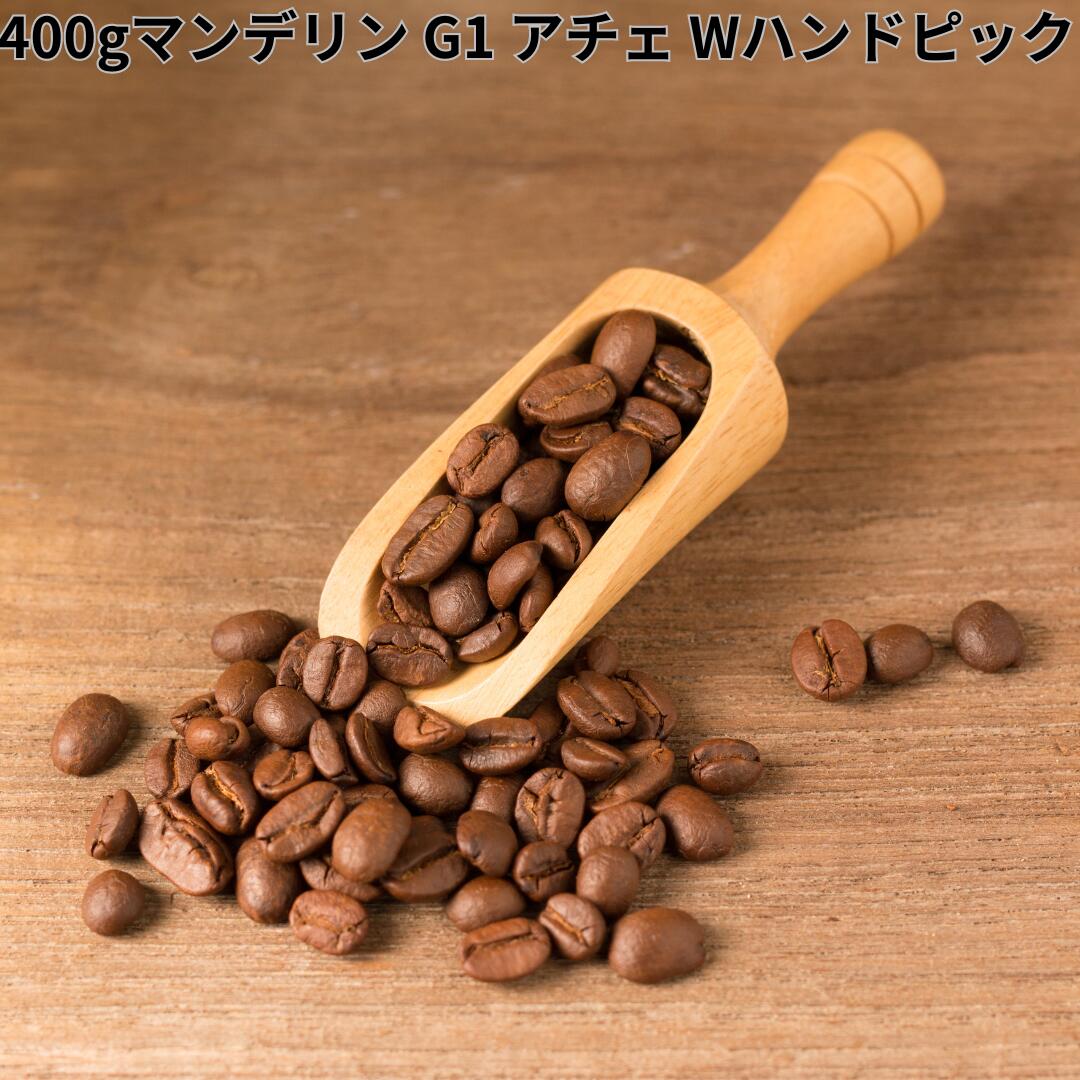 コーヒー豆 マンデリン G-1 アチェ Wハンドピック アットソース インドネシア コク 深煎り アイスコーヒー DripTrip 送料無料 自家焙煎 受注焙煎 焙煎度が選べる 珈琲豆 豆 粉 大容量 業務用 生豆 ドリップバッグコーヒー ドリップコーヒー 水出しコーヒー #91