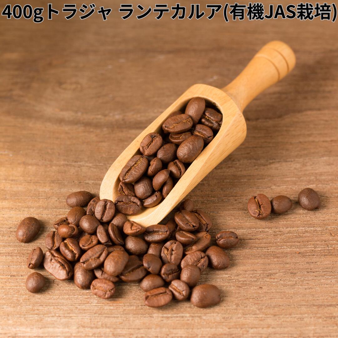 楽天市場】【DRIP TRIP】モカ マタリ No9 コーヒー豆 受注焙煎 選べる焙煎度合い 送料無料 大山珈琲 珈琲 珈琲豆 コーヒー コーヒー豆  スペシャルティコーヒー 粉 400g 800g 1kg 2kg : コーヒー＆石窯パン専門店ガウディ