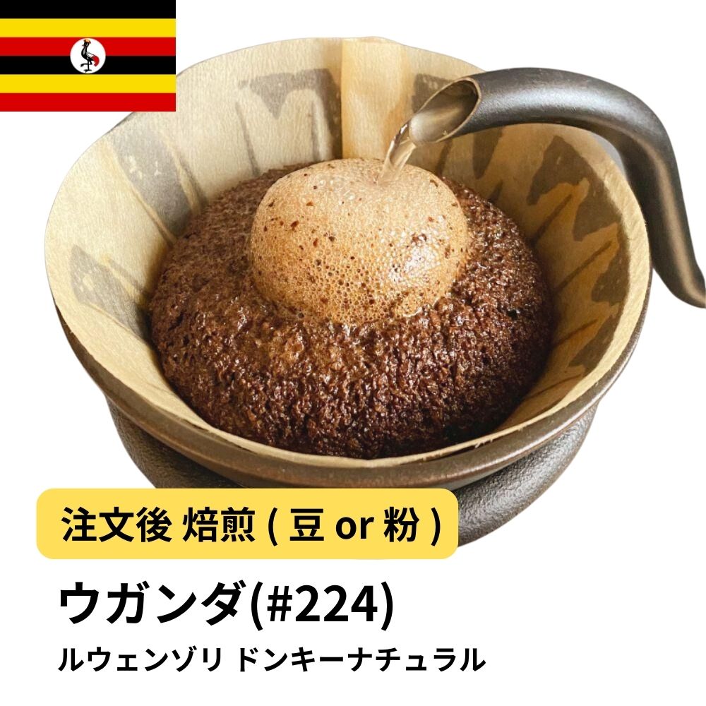 sakai224.jpg