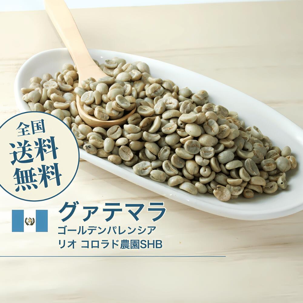 コーヒー生豆/メキシコ/ニカラグア/2種2.5kgづつ/送料無料合計5kg 楽天市場】コーヒー 生豆 メキシコ ハニーオアハカ ペタテドライ