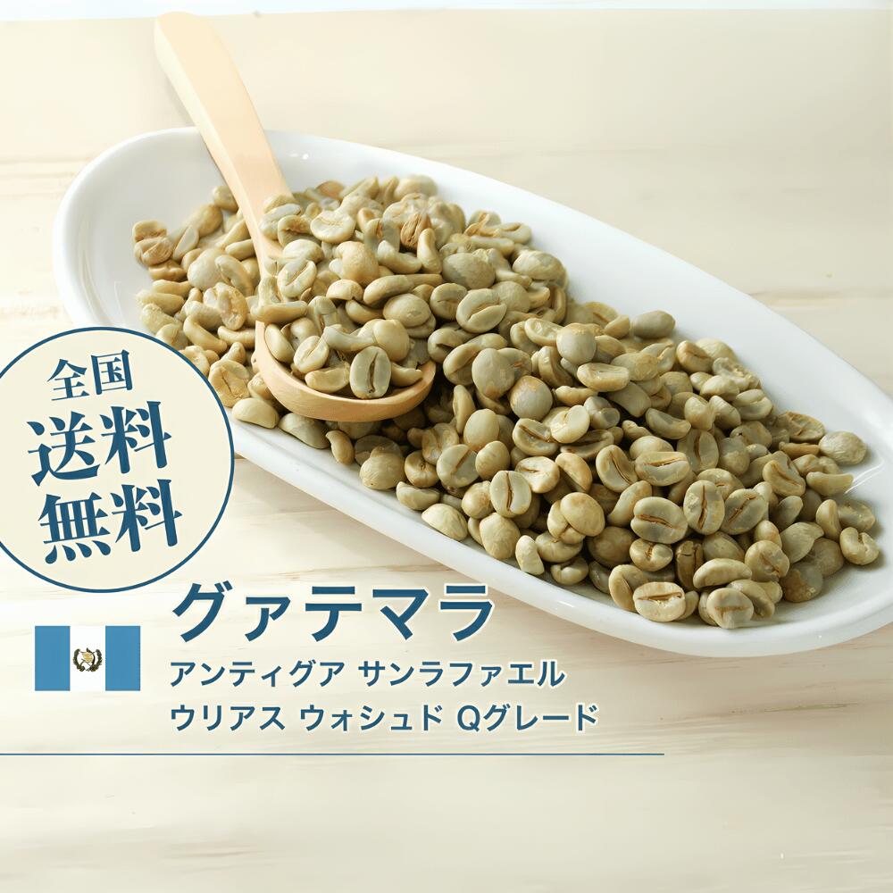 爆安!!コーヒー生豆/ニカラグアSHG /送料無料5kg 爆安!!コーヒー生豆/ニカラグアSHG /送料無料5kg 楽天市場