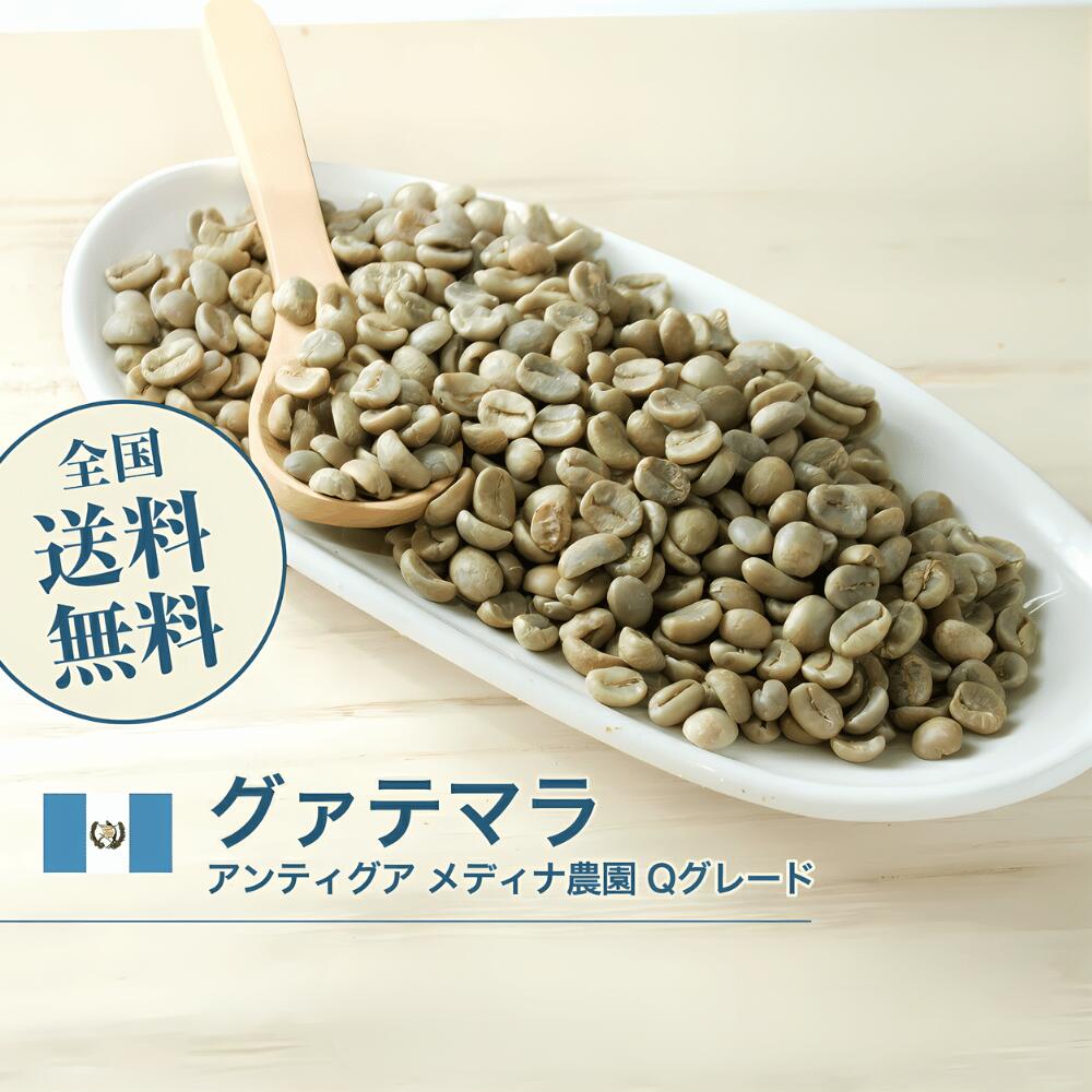 DRIP TRIP 生豆 グァテマラ アンティグア メディナ農園 Qグレード コーヒー 珈琲 スペシャルティ 送料無料1kg 2kg 5kg 10kg