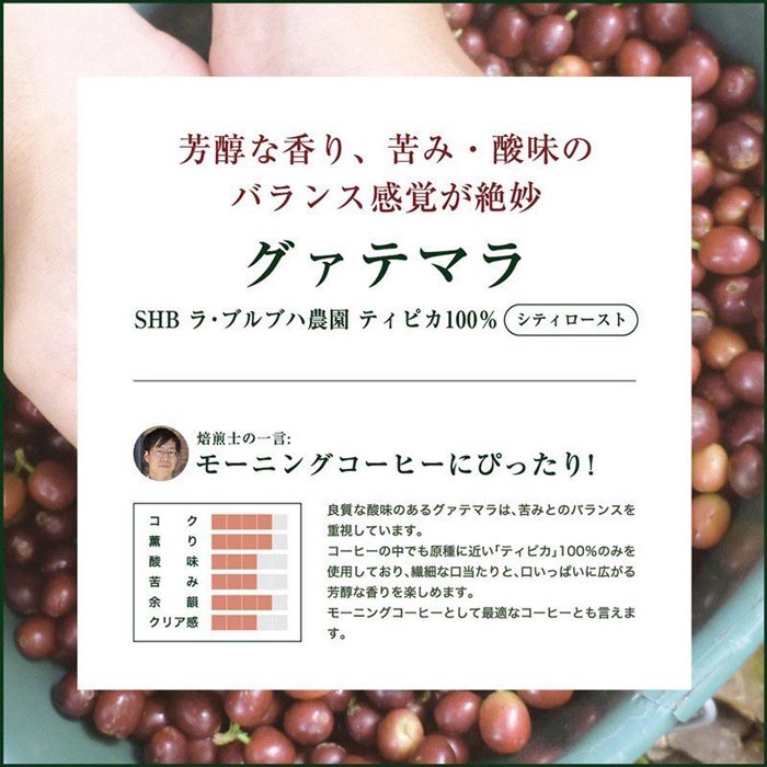 グァテマラSHB ラ・ブルブハ農園 ティピカ100% スペシャルティコーヒー 200g 大山珈琲 グアテマラ ガテマラ コーヒー 