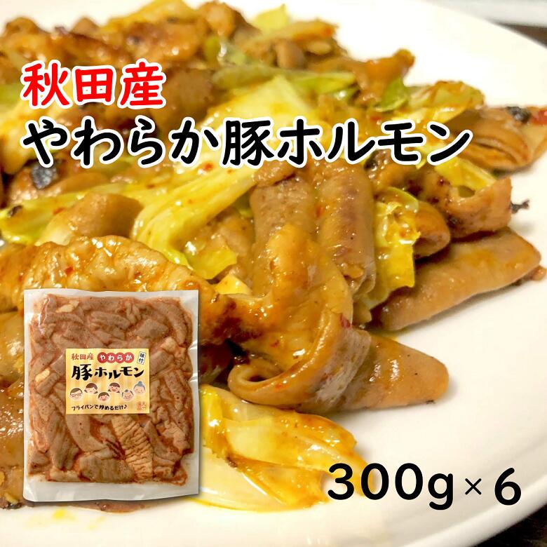 秋田産やわらか豚ホルモン 300g×6 ホルモン焼き 冷凍 最も信頼できる