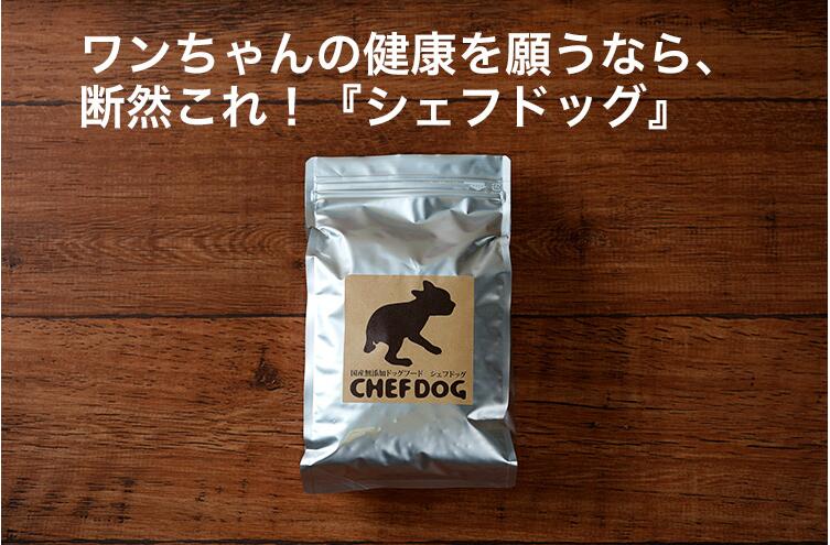 国産 無添加 シェフドッグ パピー 20kg ドッグフード【CFD】送料無料
