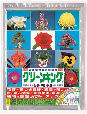 【送料無料】【マルタ小泉商事】グリーンキング(5kg)/１個 【M】