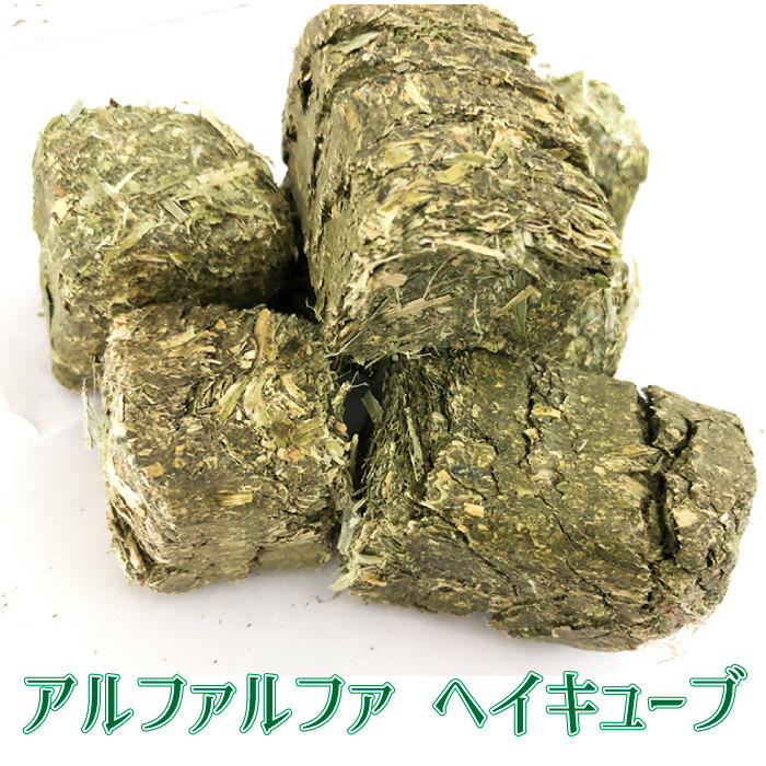 アメリカ産 アルファルファ ヘイキューブ 約30kg 1個あたり 約30g 40g程度 圧縮 牧草 Alfalfa 小動物 エサ キューブ状 ブリーダー Htf アルファルファ うさぎ ハムスター チンチラ デグー という形で贈る有料アイテムがライバーたち Pmti Us